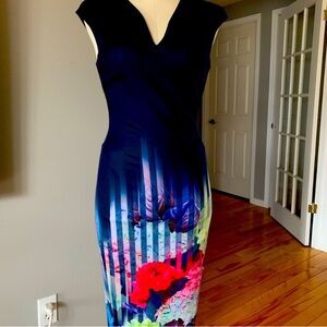 Ted Baker dress